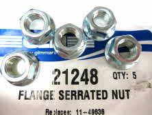 21248 Flange Serrated Nut