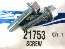 21753 Screw