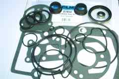 87654 Seal kit with water pump seal gasket.jpg